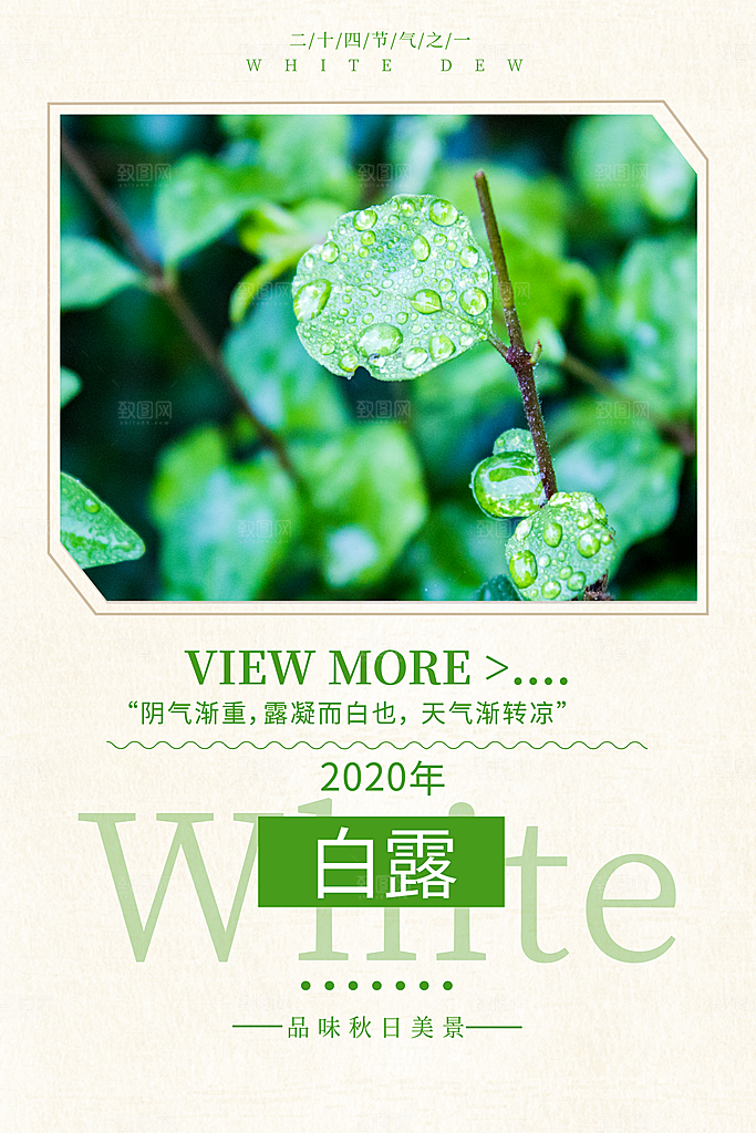 传统节气白露海报模版素材