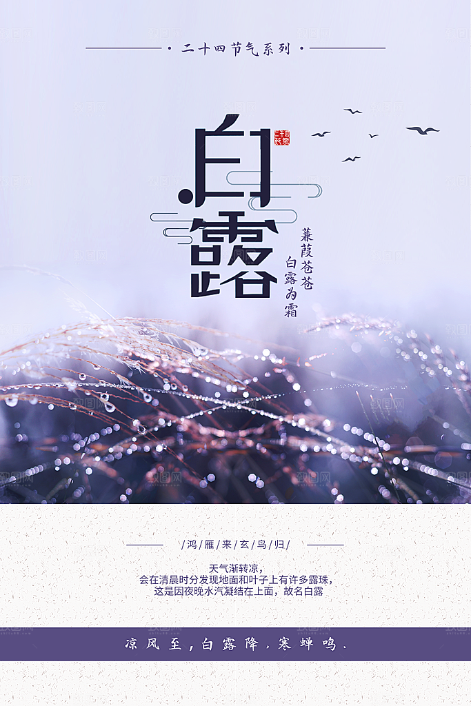 传统节气白露海报模版素材