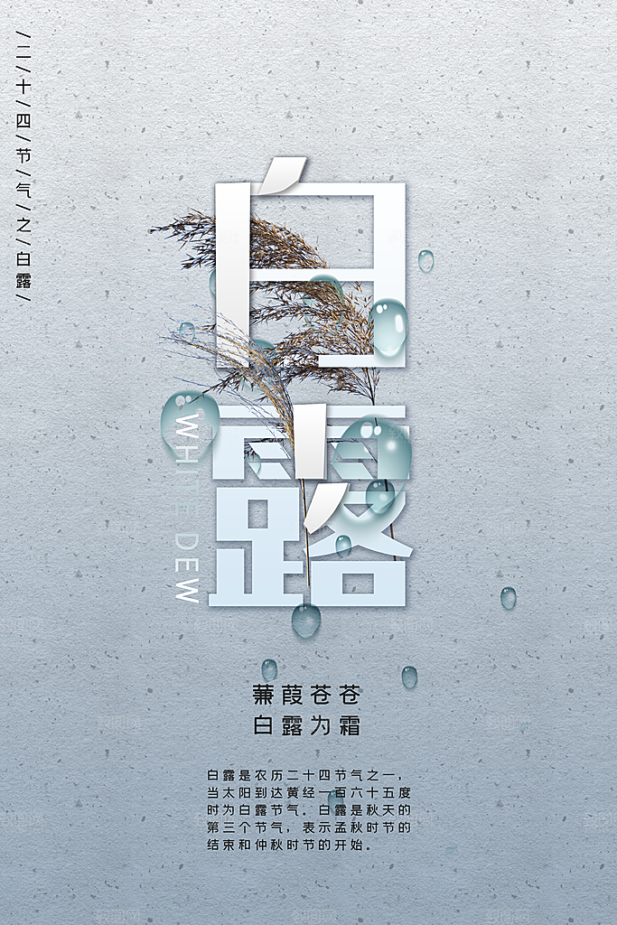 传统节气白露海报模版素材