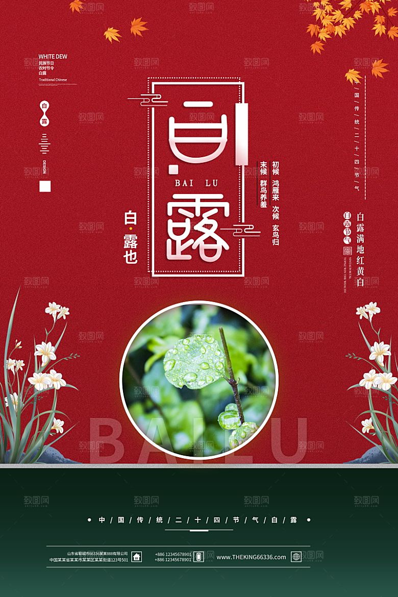 传统节气白露海报模版素材