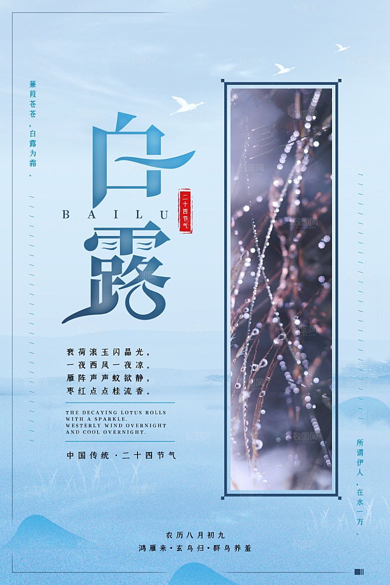 白露节气简约大气海报