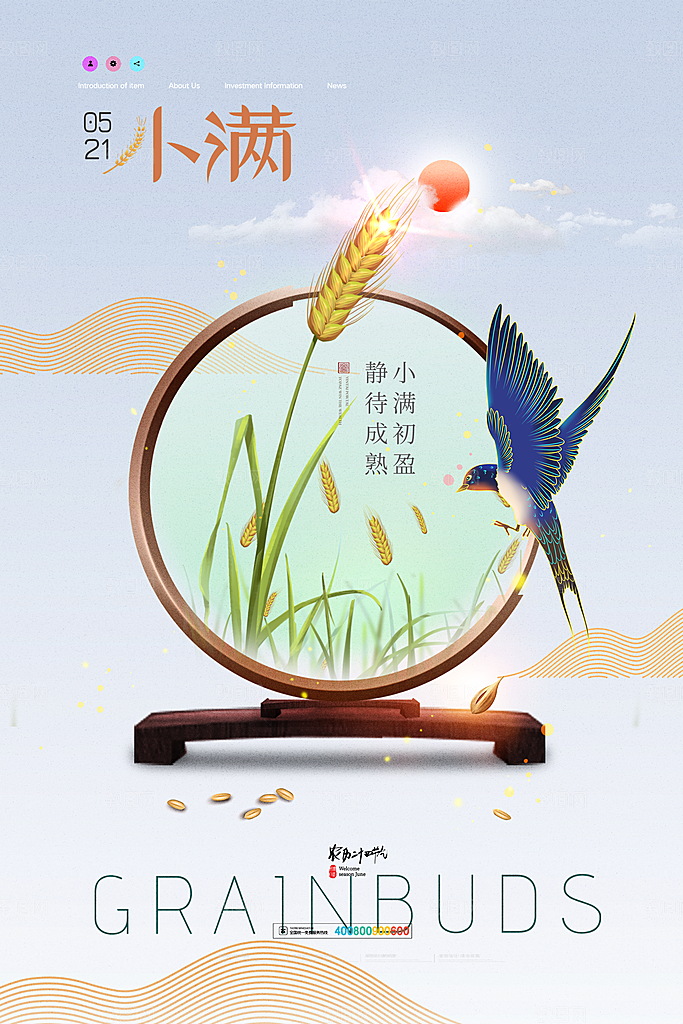 小满节气简约大气海报