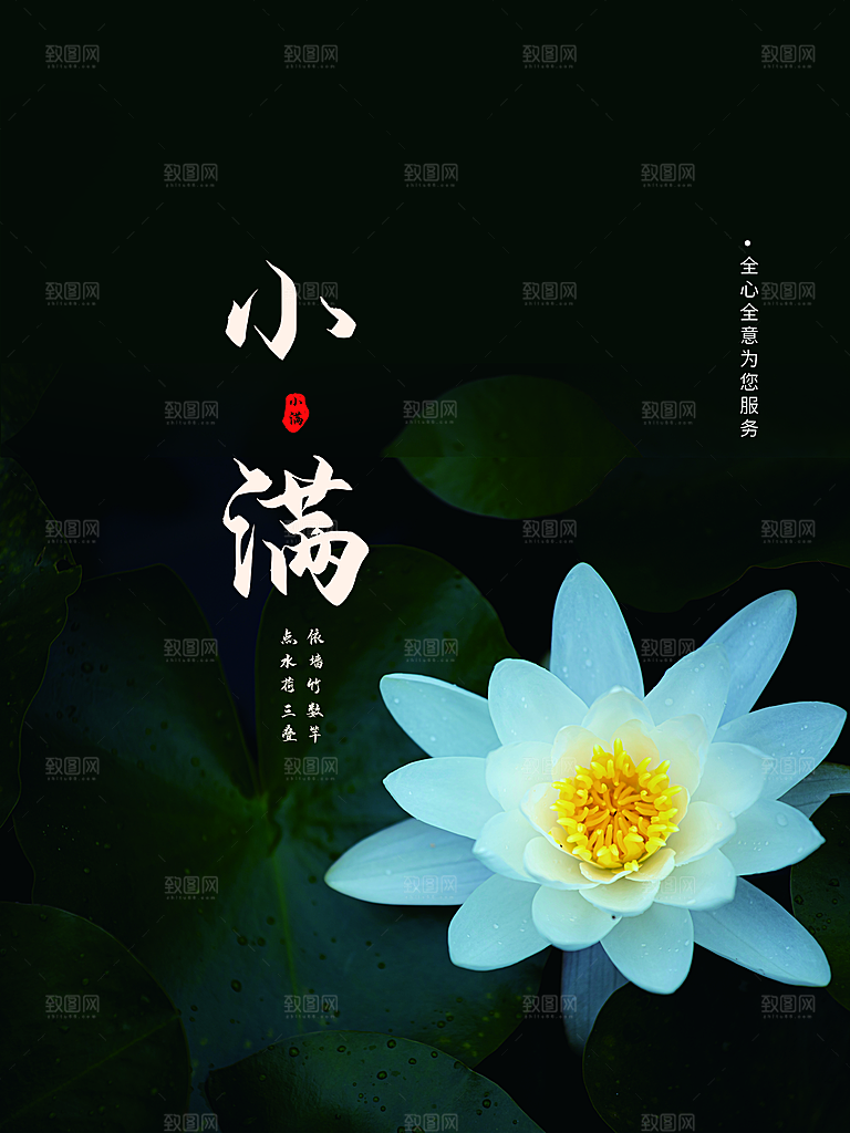 小满节气简约大气海报