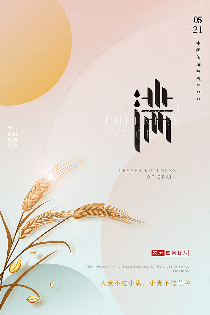 小满节气简约大气海报