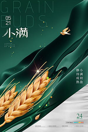 小满节气简约大气海报
