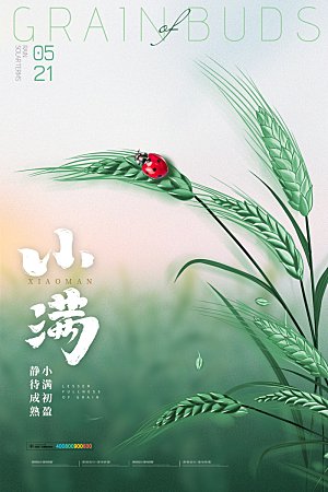 传统节气小满海报模版素材