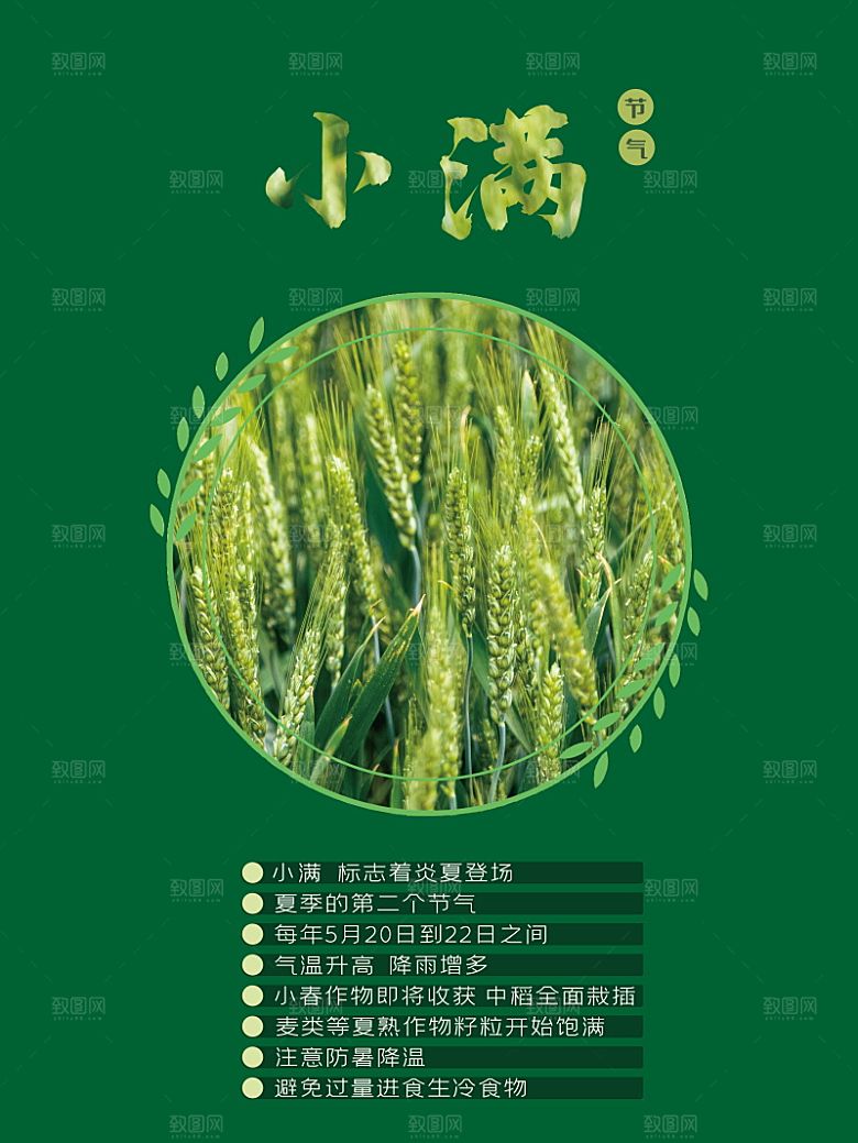 传统节气小满海报模版素材