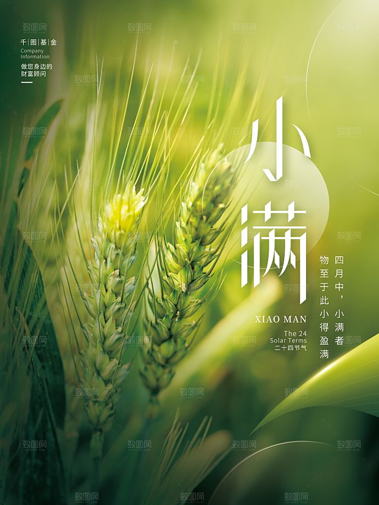 传统节气小满海报模版素材