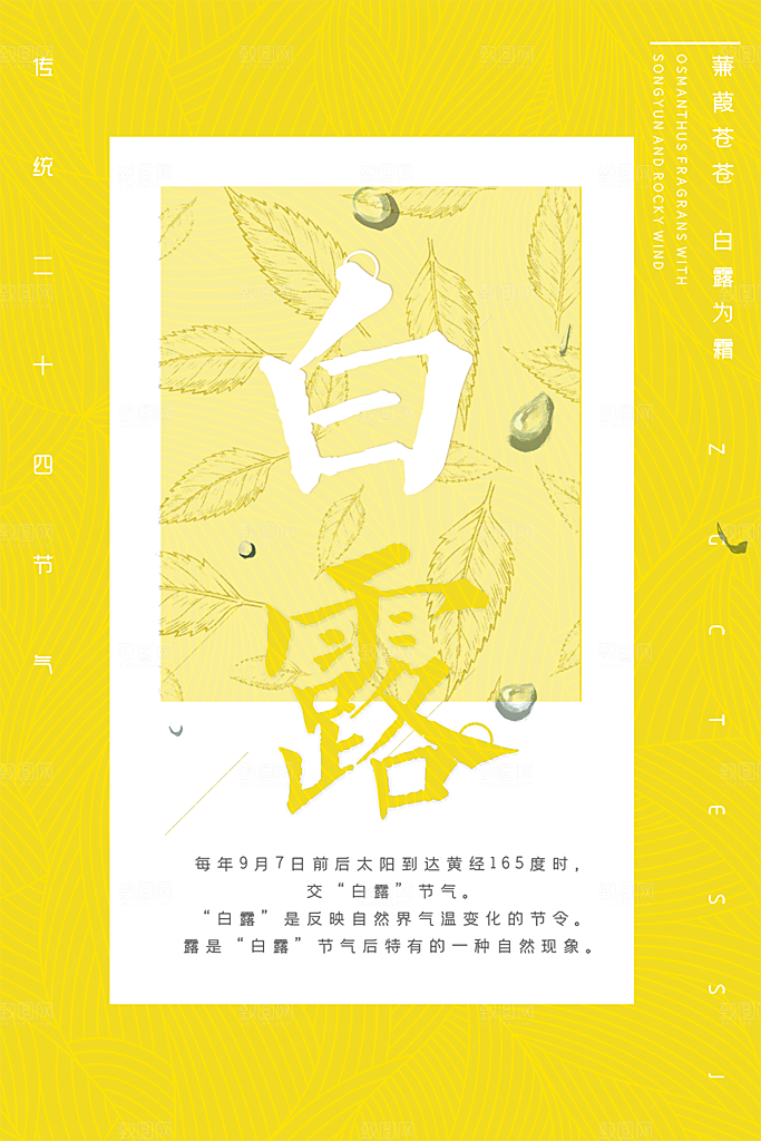 白露节气简约大气海报