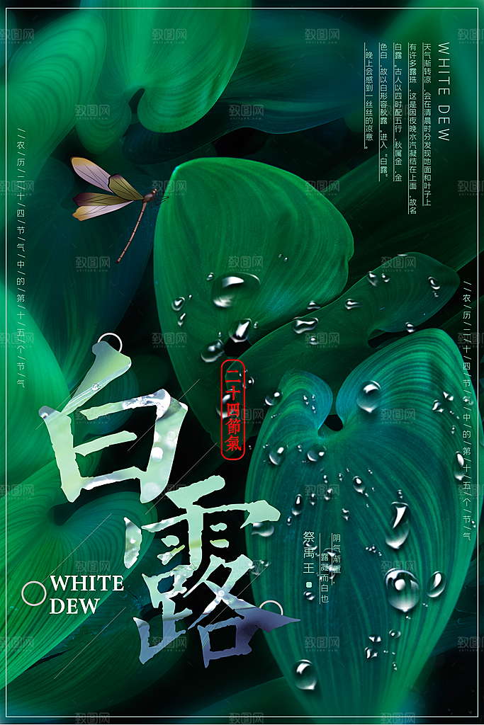 白露节气简约大气海报