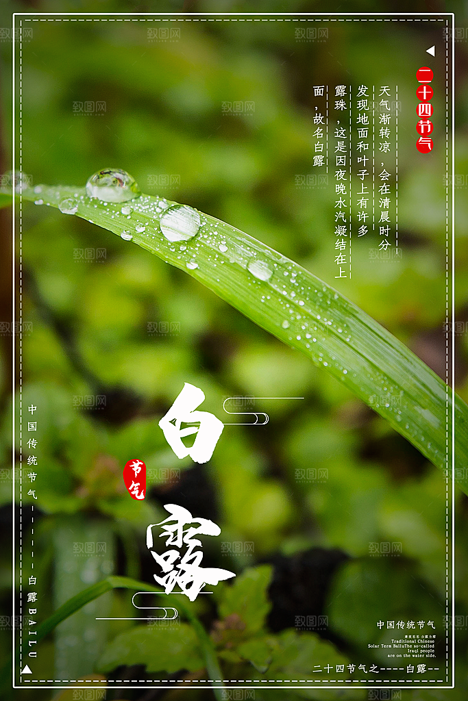 传统节气白露海报模版素材