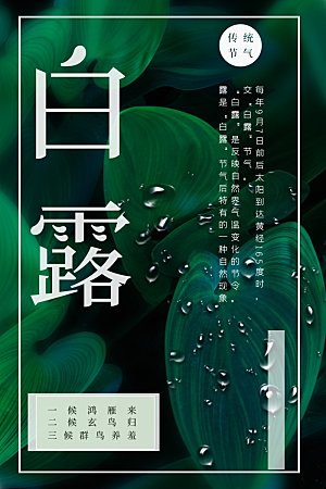 传统节气白露海报模版素材