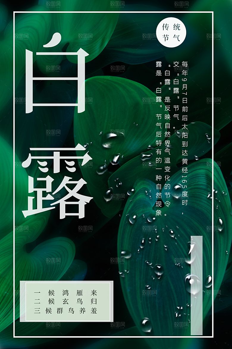 传统节气白露海报模版素材