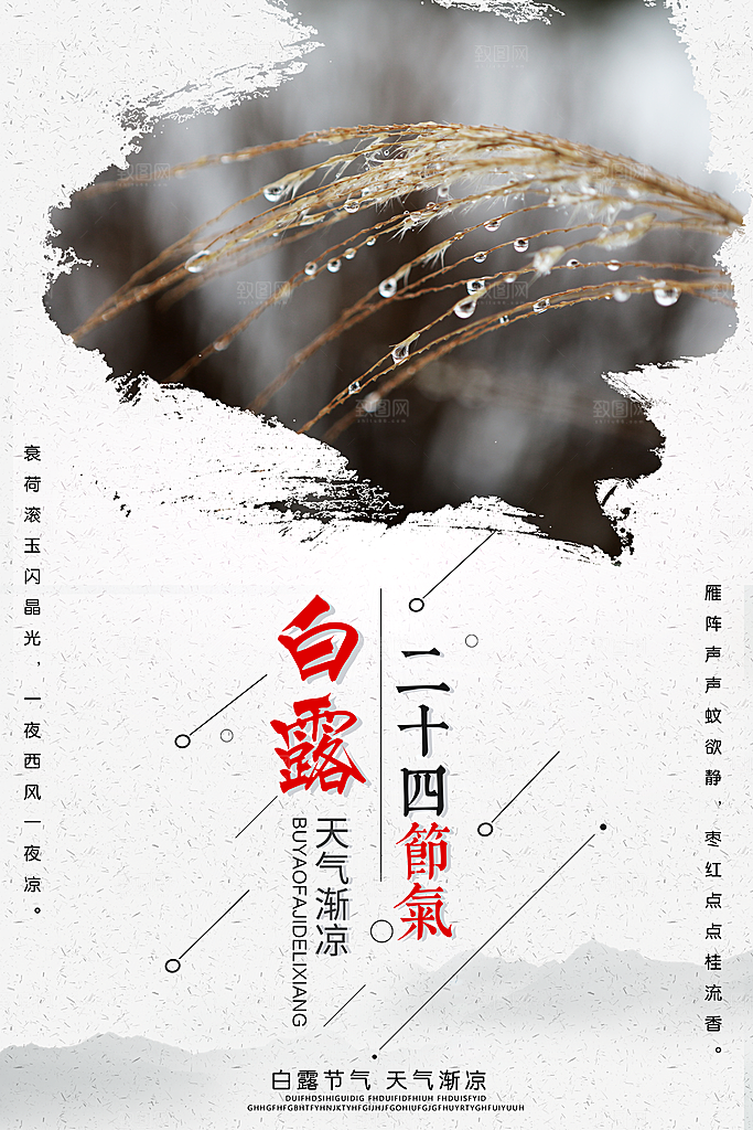 白露节气简约大气海报