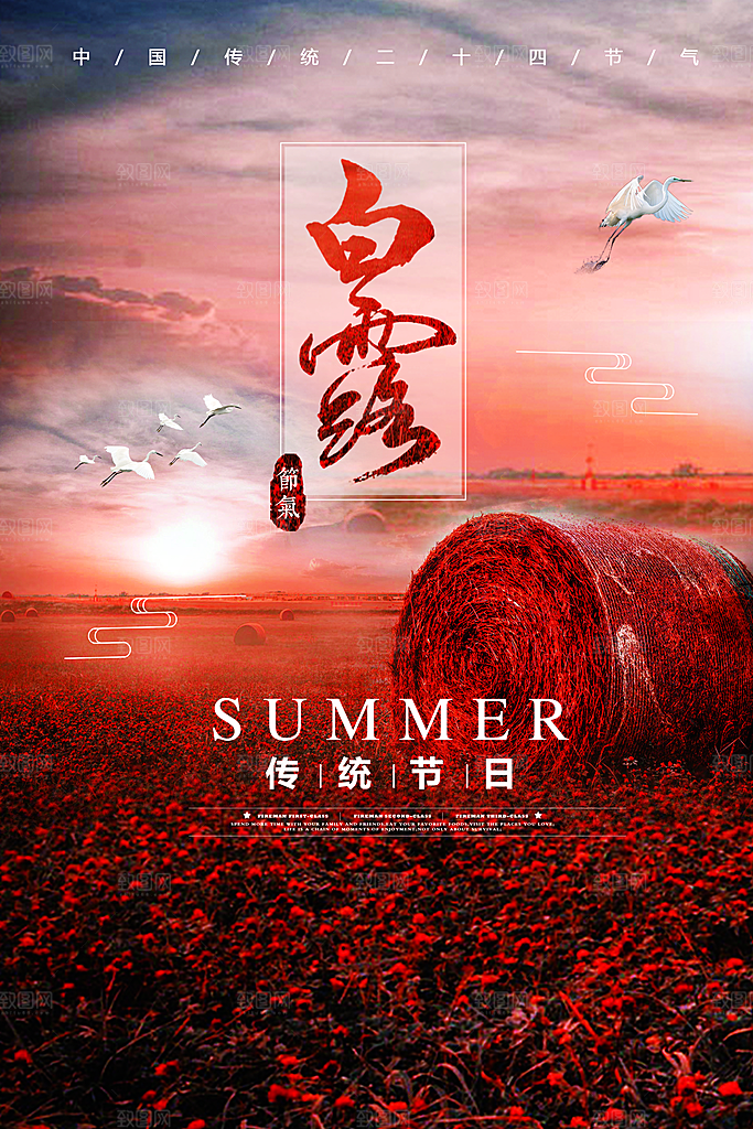 白露节气简约大气海报