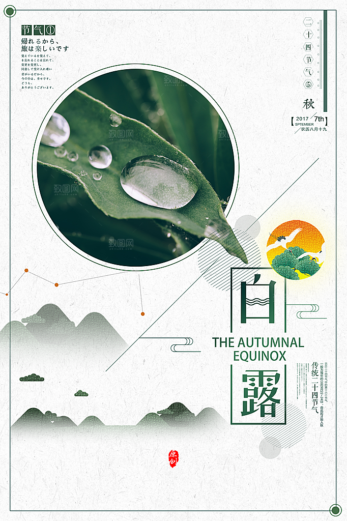 白露节气简约大气海报