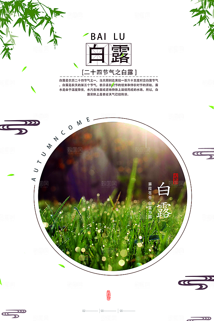 白露节气简约大气海报