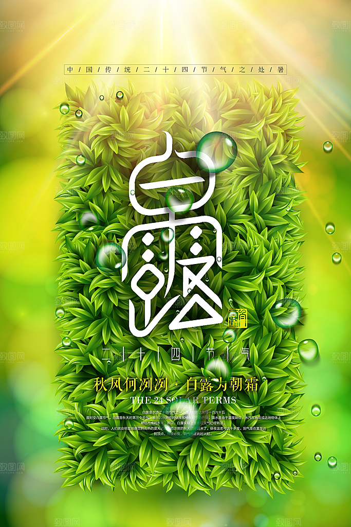 白露节气简约大气海报