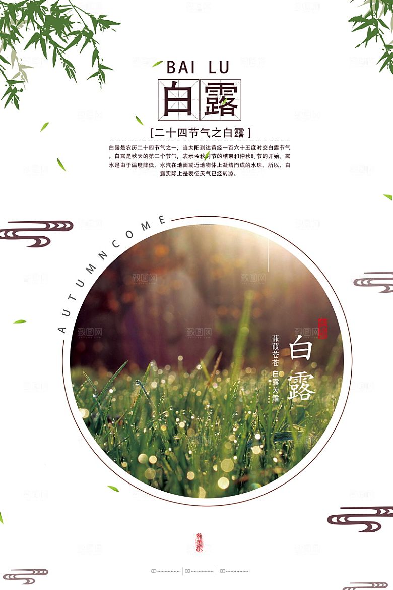 白露节气简约大气海报
