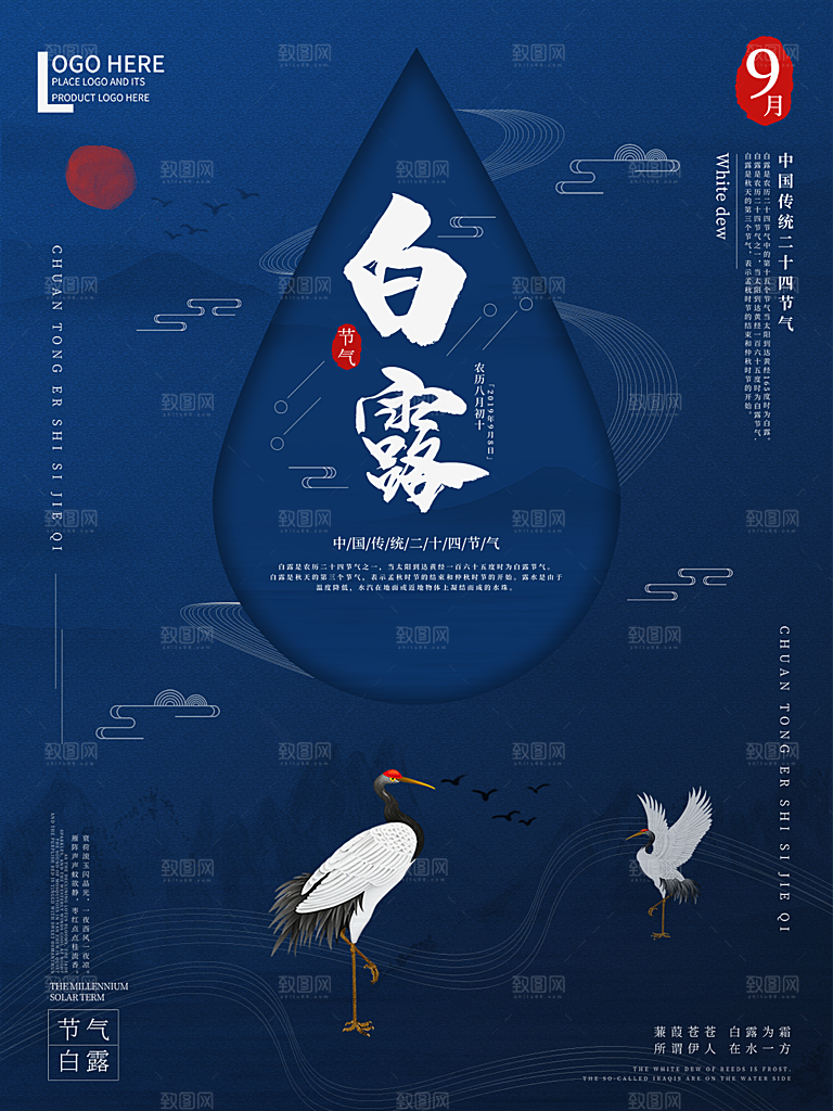 白露节气简约大气海报
