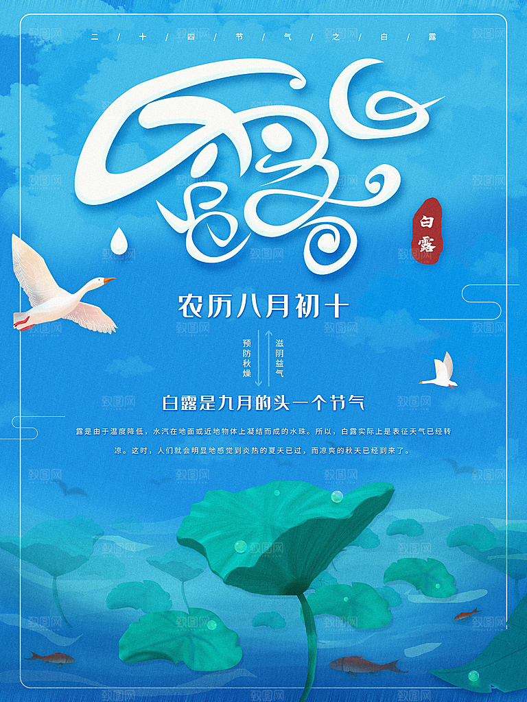 白露节气简约大气海报