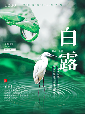 白露节气简约大气海报