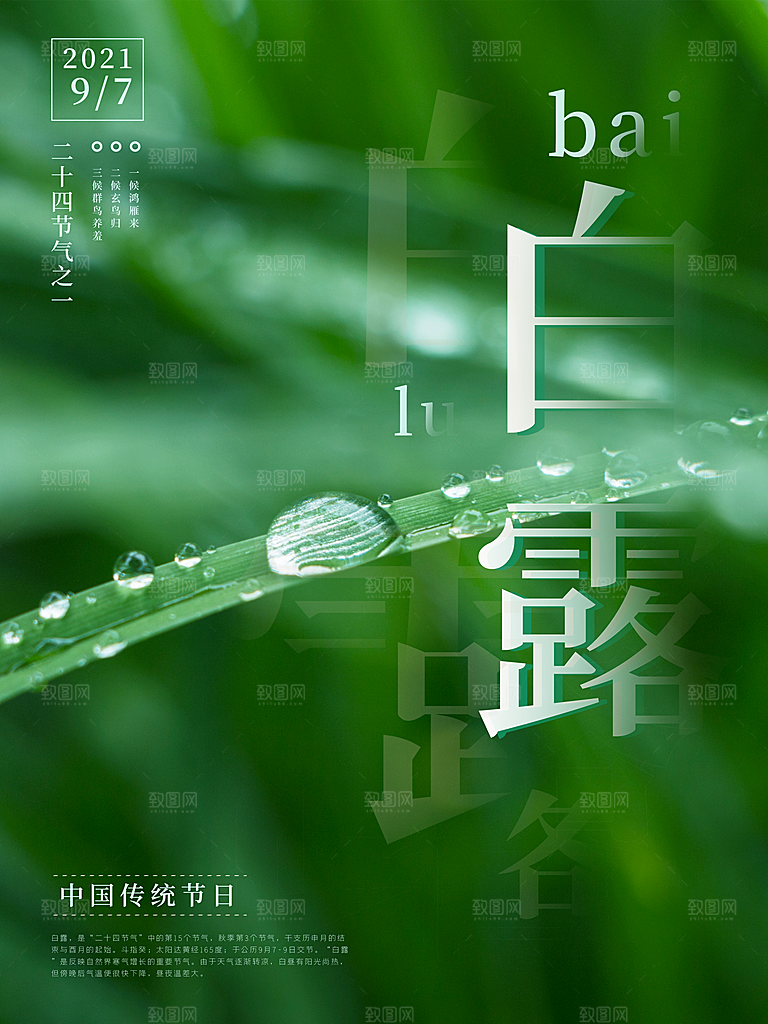 白露节气简约大气海报