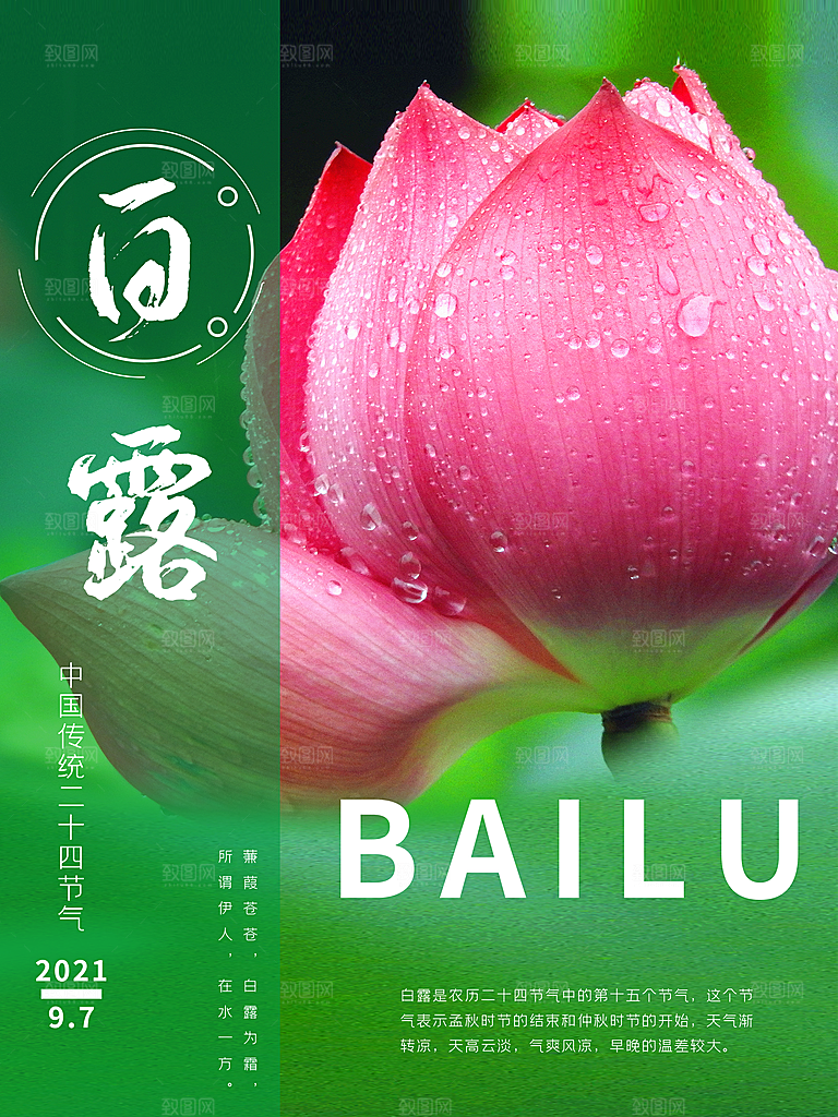 白露节气简约大气海报