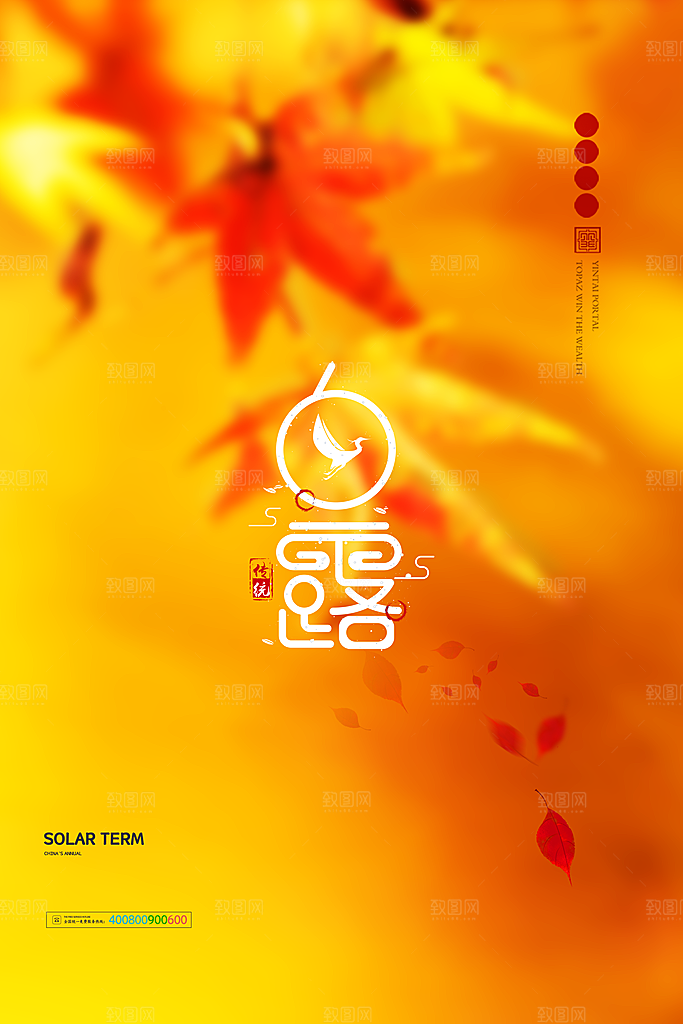 白露节气简约大气海报