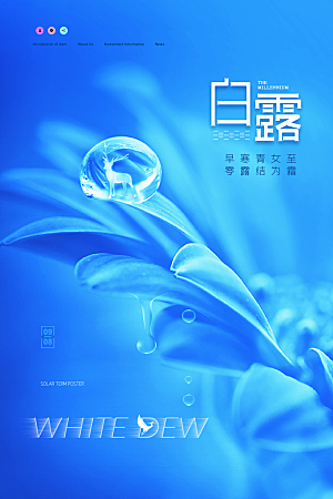白露节气简约大气海报