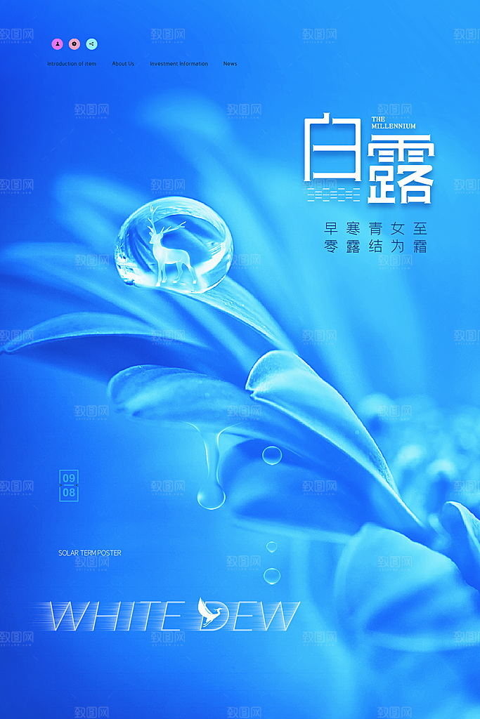 白露节气简约大气海报