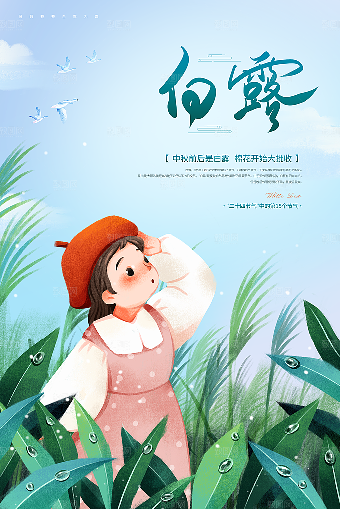 传统节气白露海报模版素材