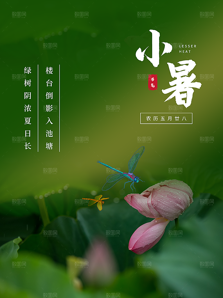 传统二十四节气小暑