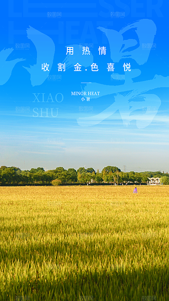 中国传统节气小暑海报