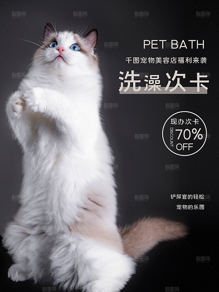宠物动物口粮商店美容海报