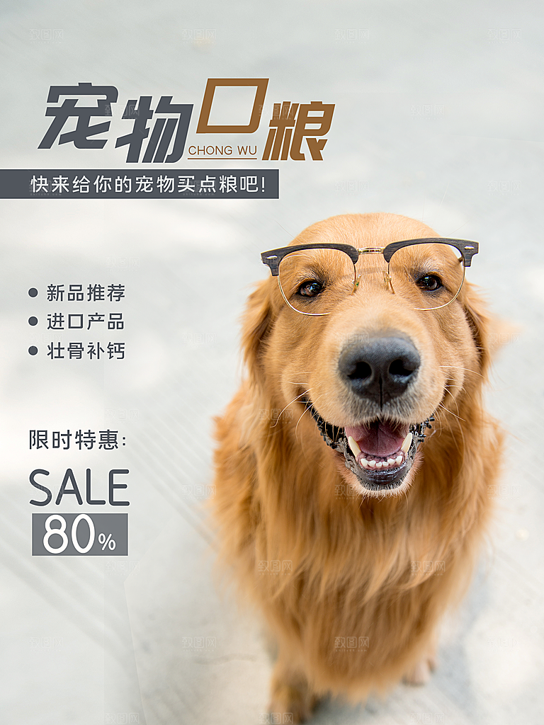 宠物动物口粮商店美容海报