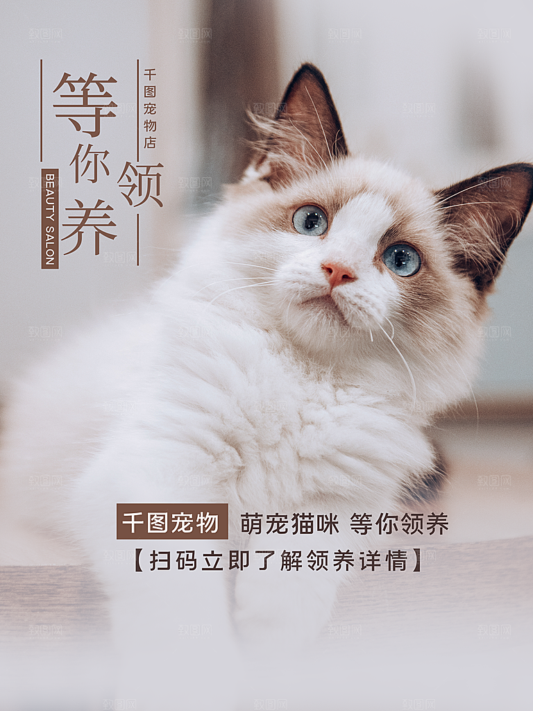 宠物动物口粮商店美容海报