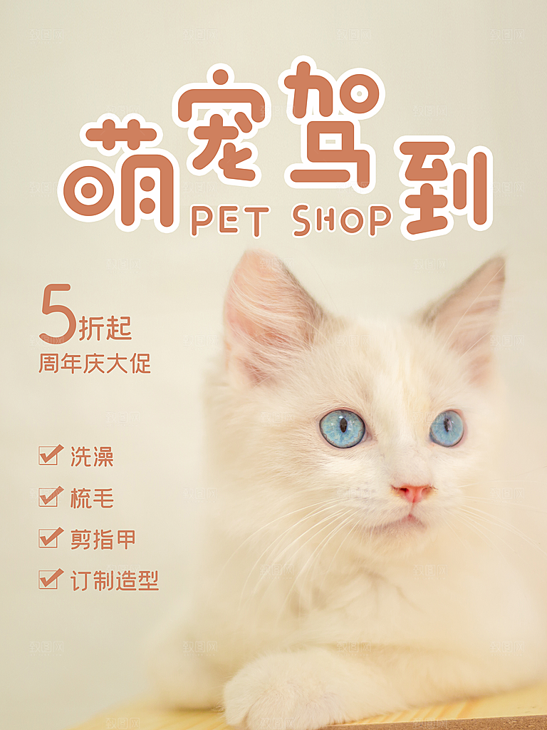宠物动物口粮商店美容海报