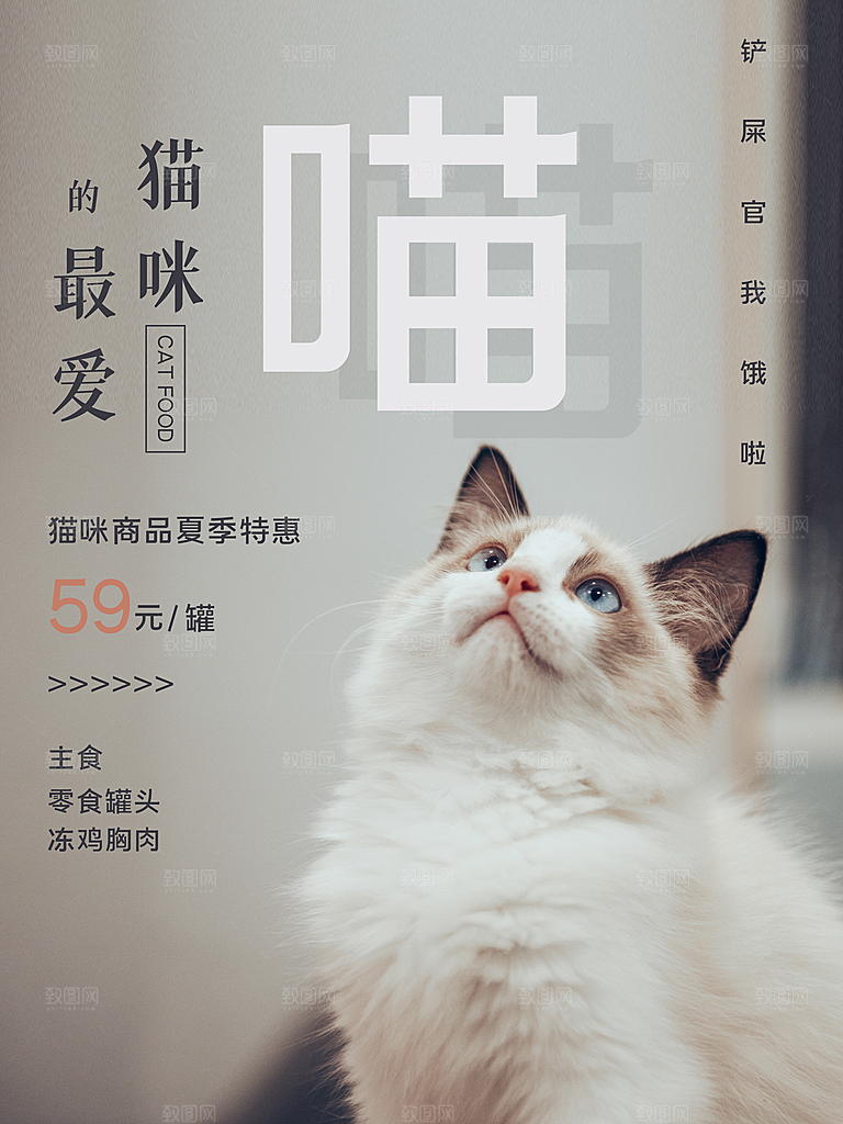宠物动物口粮商店美容海报
