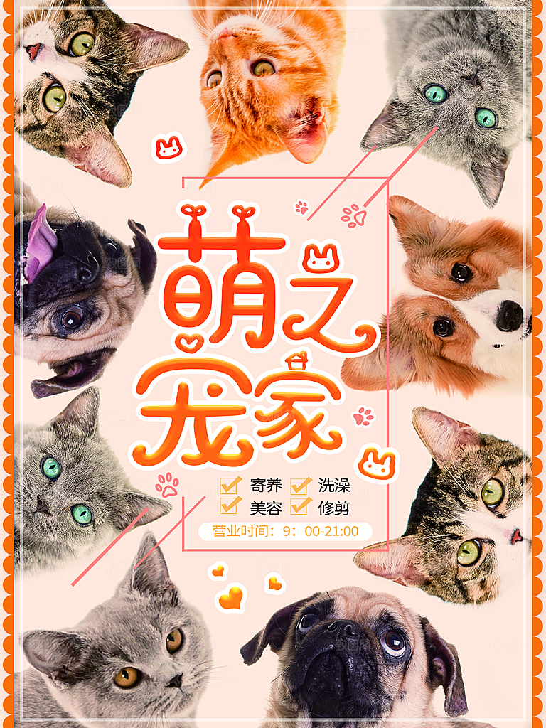 宠物动物口粮商店美容海报