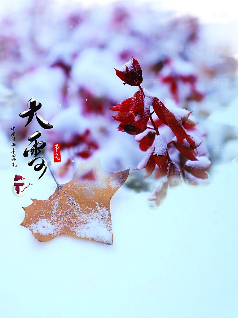 传统二十四节气大雪