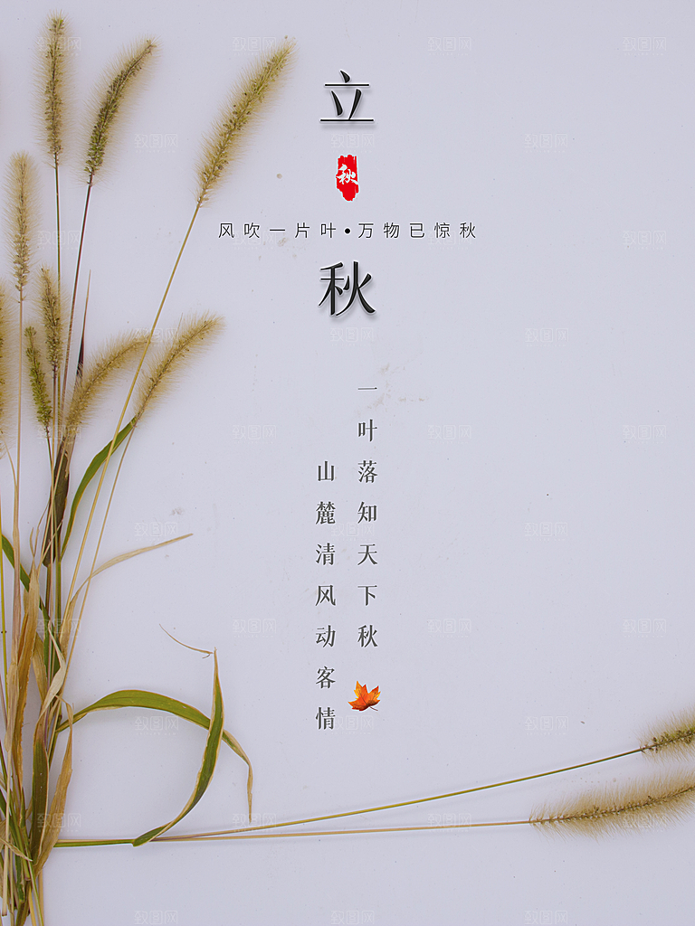 传统二十四节气立秋