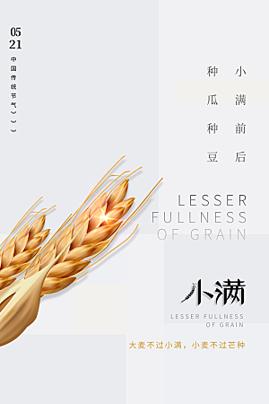 传统节气小满海报模版素材