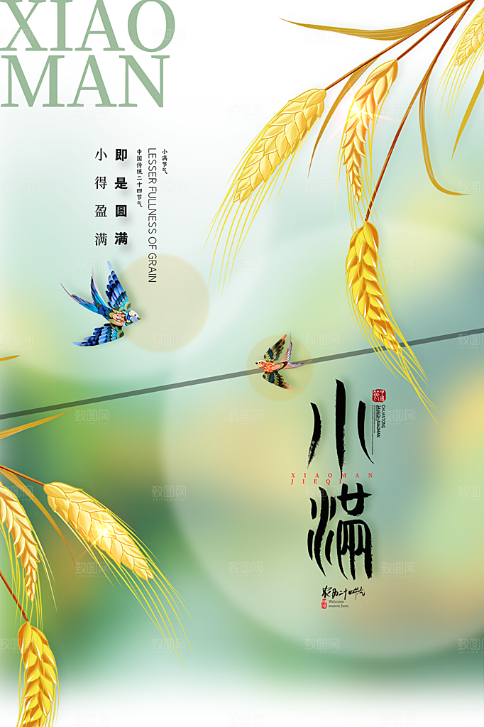 传统节气小满海报模版素材