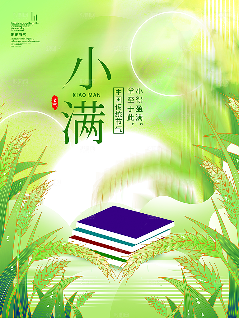 小满节气简约大气海报