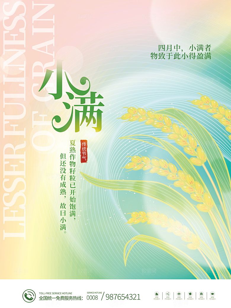 小满节气简约大气海报
