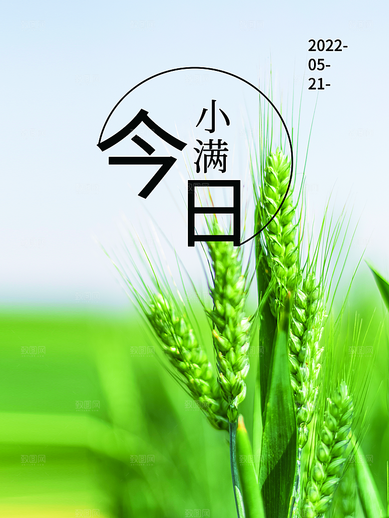 传统节气小满海报模版素材