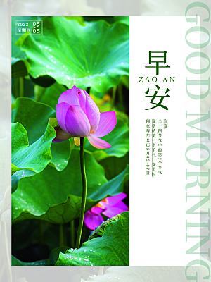 传统节气小满海报模版素材