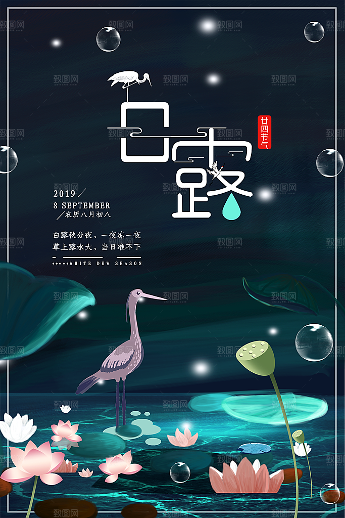 白露节气白露海报