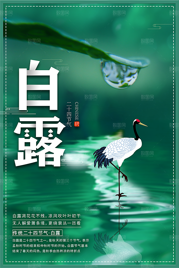 白露节气白露海报